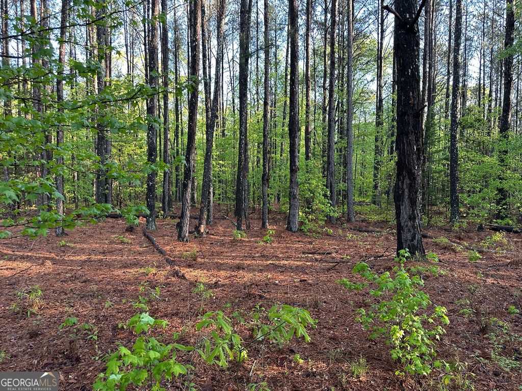Photo of 1433 Cleveland Farm Rd, Locust Grove, GA 30248 (MLS # 10756223)