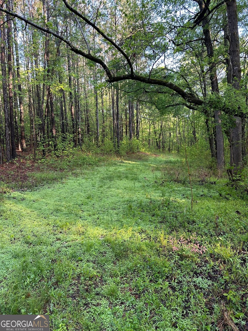 Photo of 1433 Cleveland Farm Rd, Locust Grove, GA 30248 (MLS # 10756223)