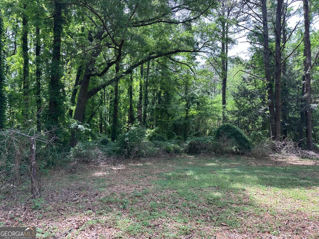 Photo of 2828 Flat Shoals Road, South Fulton, GA 30349 (MLS # 10736470)