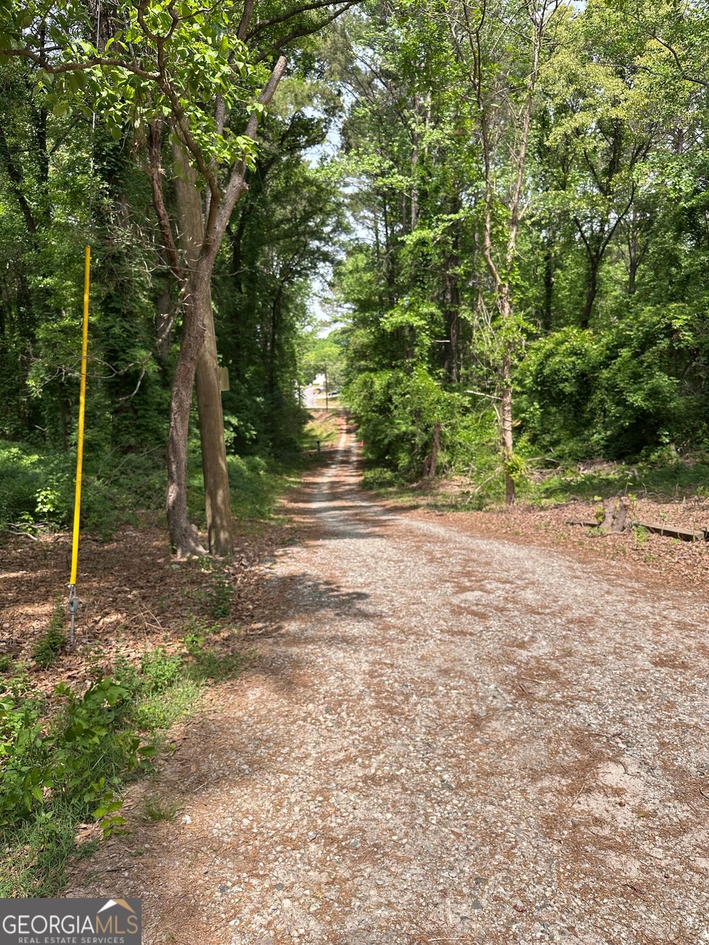 Photo of 2828 Flat Shoals Road, South Fulton, GA 30349 (MLS # 10736470)