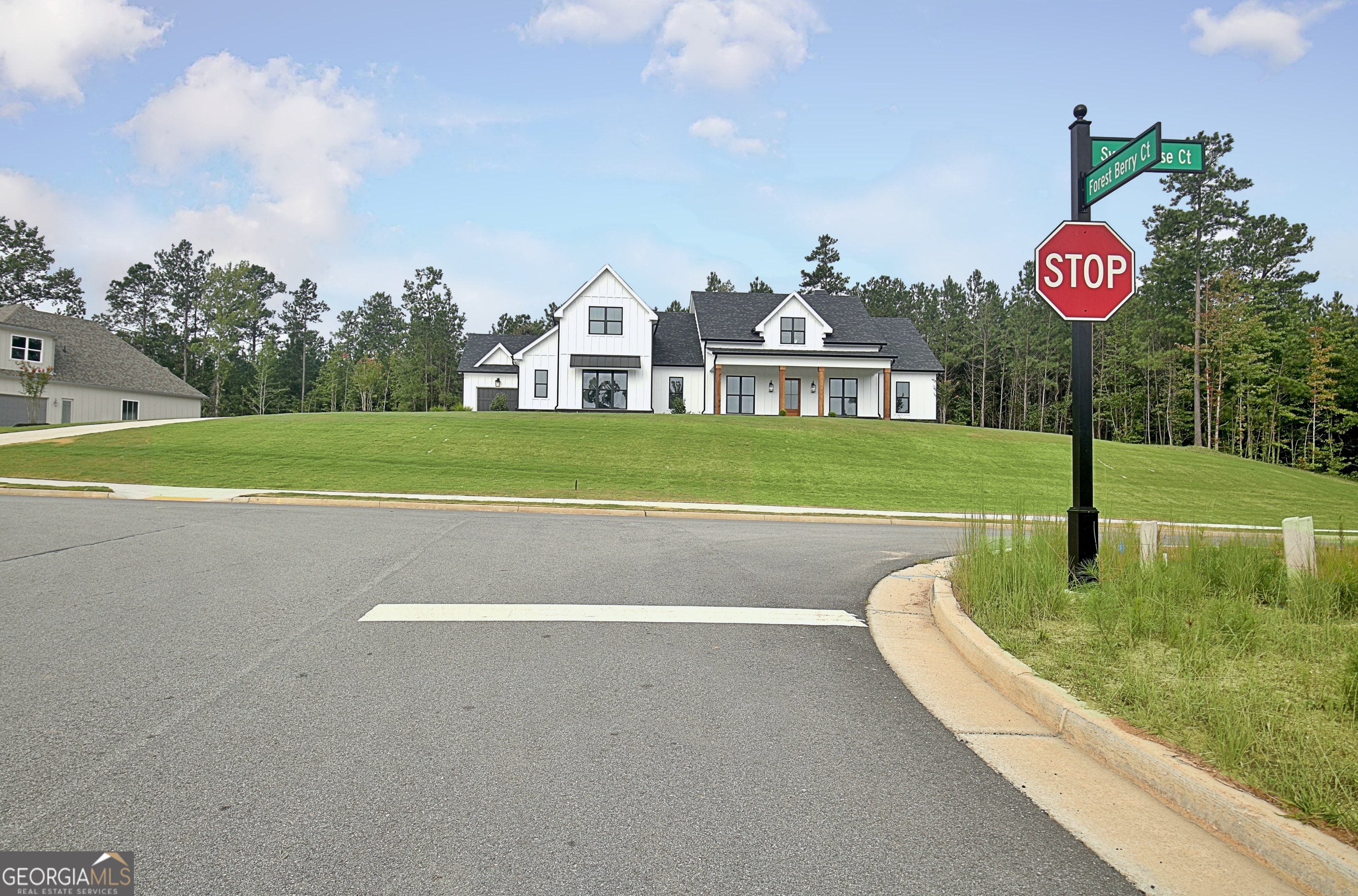 18 Sweet Rose CT
