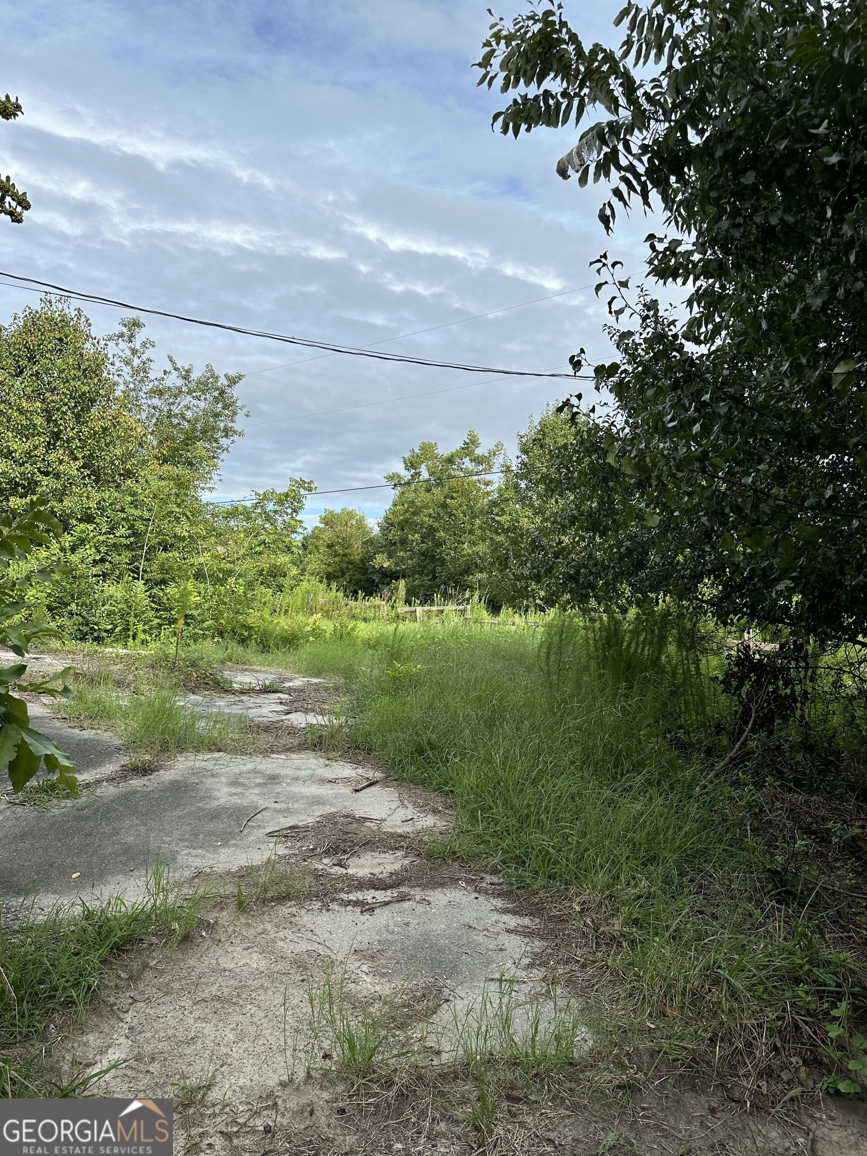 1890 Ga Highway 81