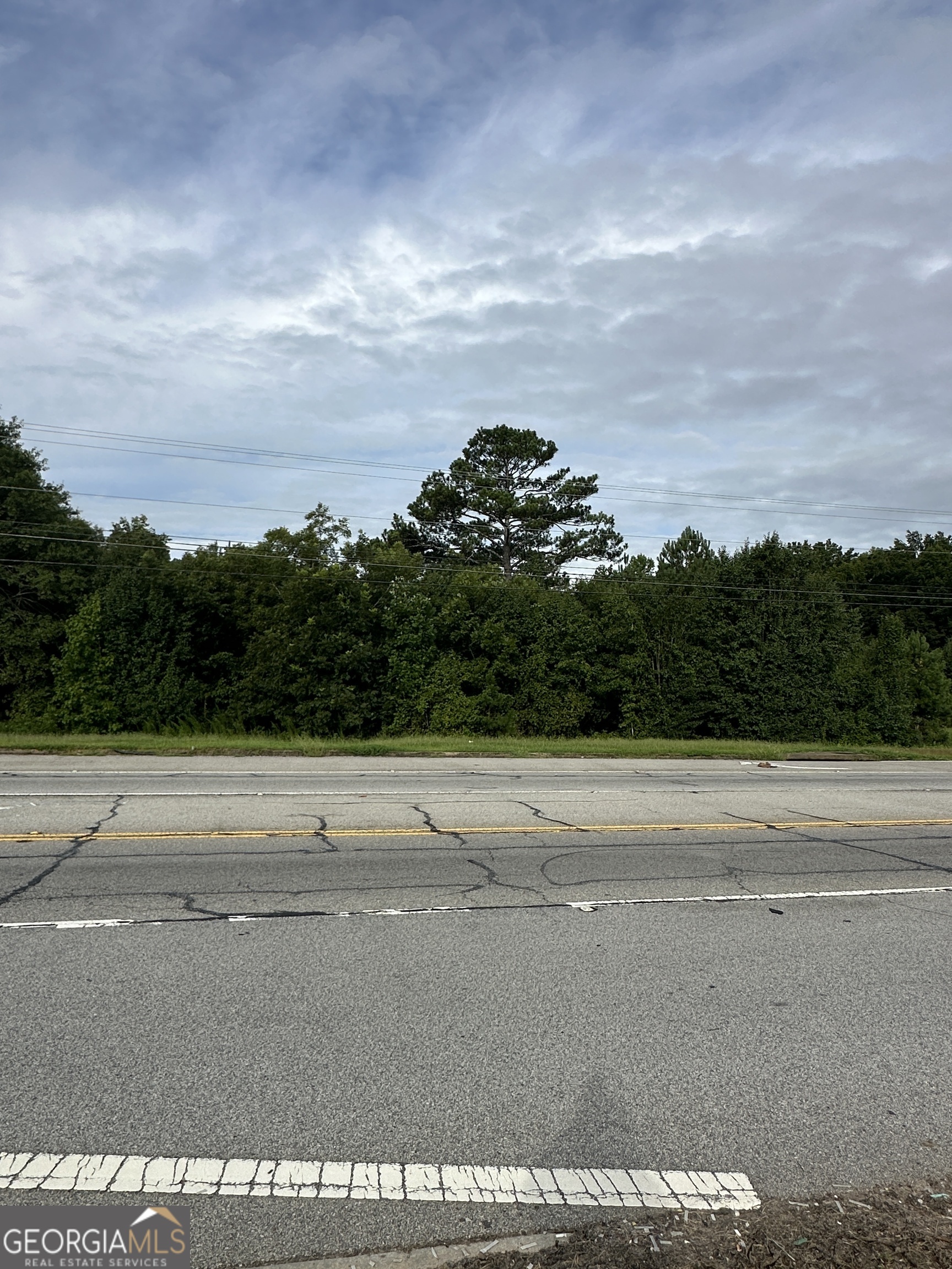 1890 Ga Highway 81