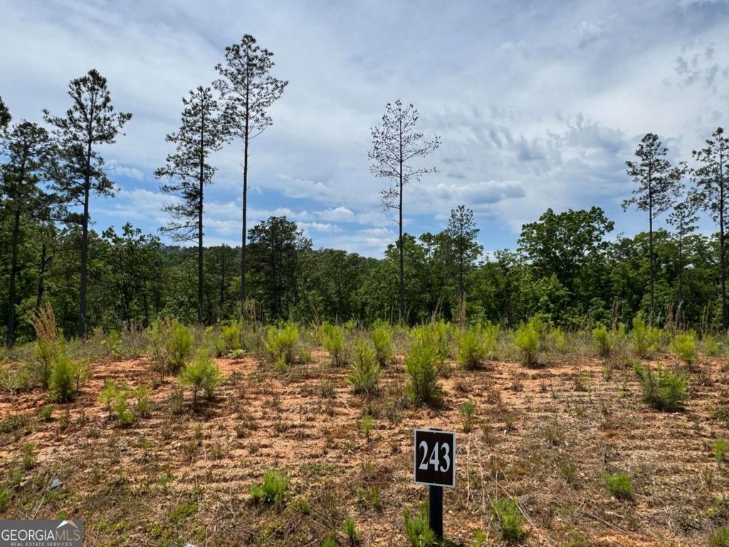 Photo of 243 Spear Point Drive, Talking Rock, GA 30175 (MLS # 10768345)