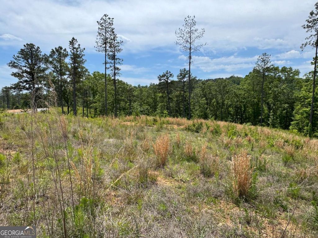 Photo of 243 Spear Point Drive, Talking Rock, GA 30175 (MLS # 10768345)