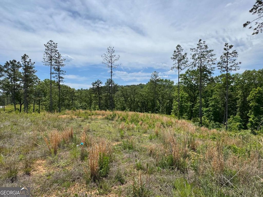Photo of 243 Spear Point Drive, Talking Rock, GA 30175 (MLS # 10768345)