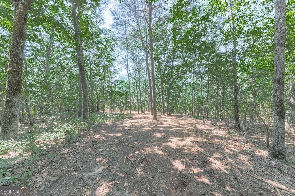 769 Rockhouse RD