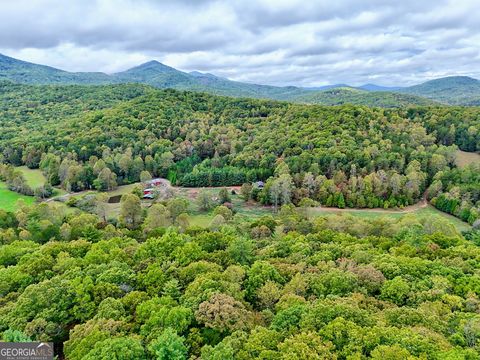 10 ACRES Mount Pleasant Church Rd Blairsville GA 30512