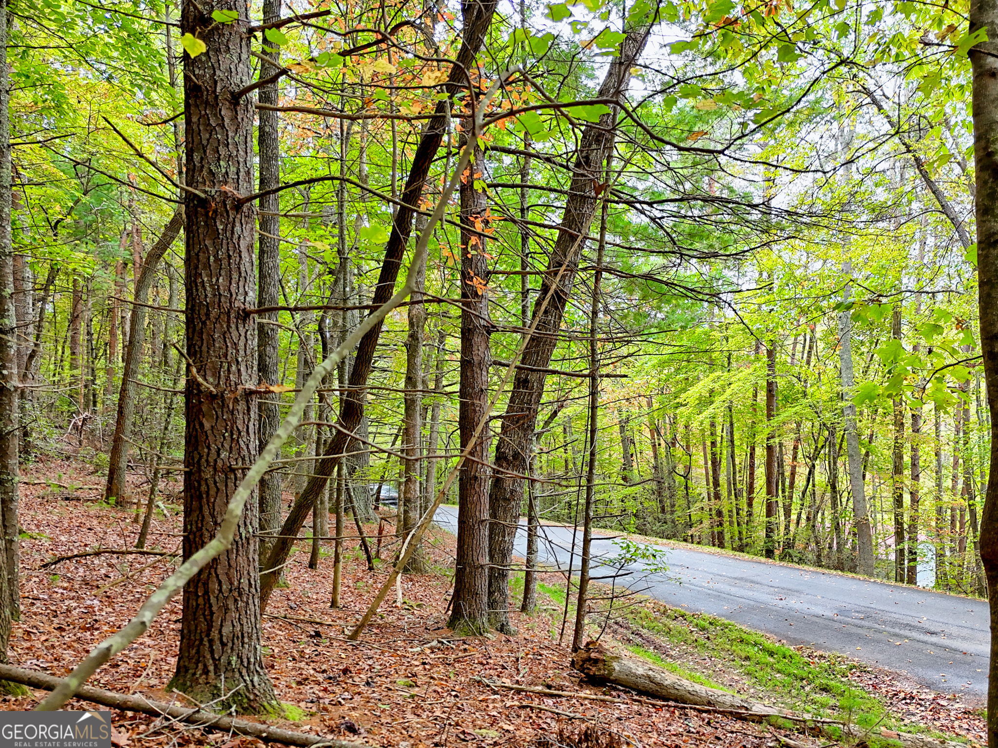 10 ACRES Mount Pleasant Church RD