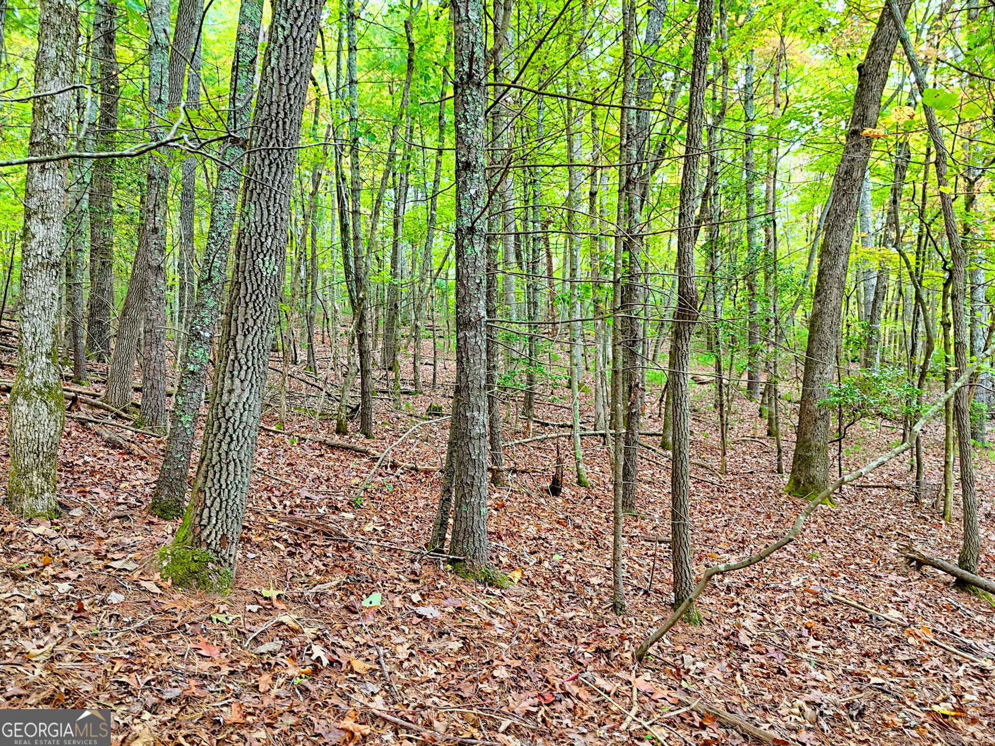 10 ACRES Mount Pleasant Church RD