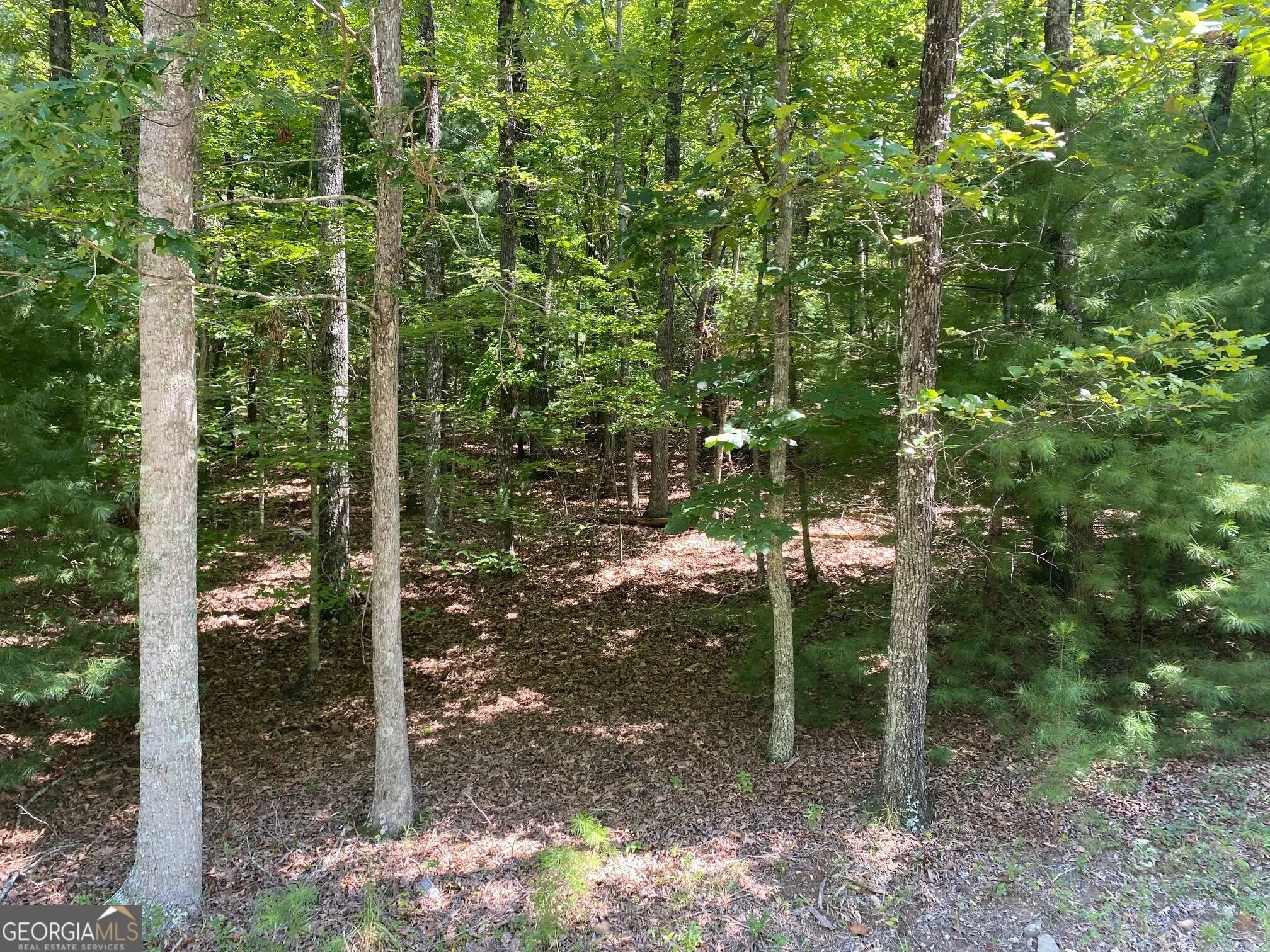 6.93 AC Timber Ridge Road