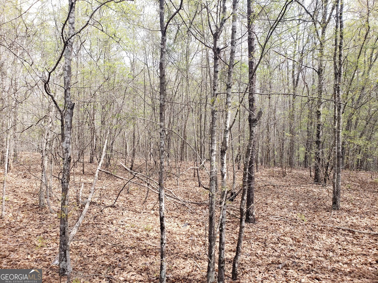Nice piece of land that totals 12.86 acres (560,181 Sq. FT.) available in Baldwin County, GA! This property is a fantastic investment opportunity nestled in a wooded area perfect to build a potential business, or anything you choose to do with it. It has frontage on W. Bypass Rd and near some great shops. It also has access to US-441, GA-212, and I-20. Give us a call today for more information!