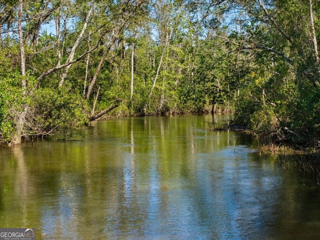 Photo of 1 W State Route 90 Road #WHITEWATER FARM, Ideal, GA 31041 (MLS # 10876592)