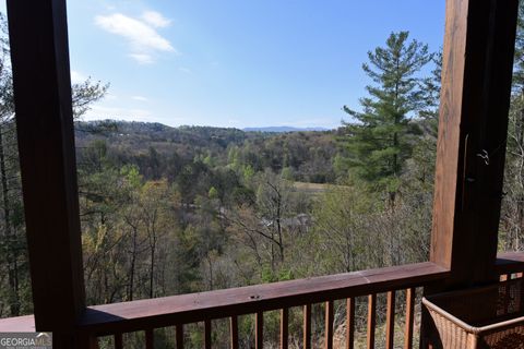 A home in Mineral Bluff