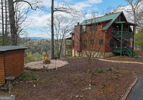 A home in Mineral Bluff