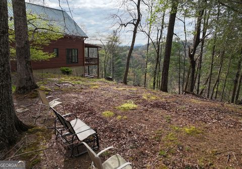 A home in Mineral Bluff