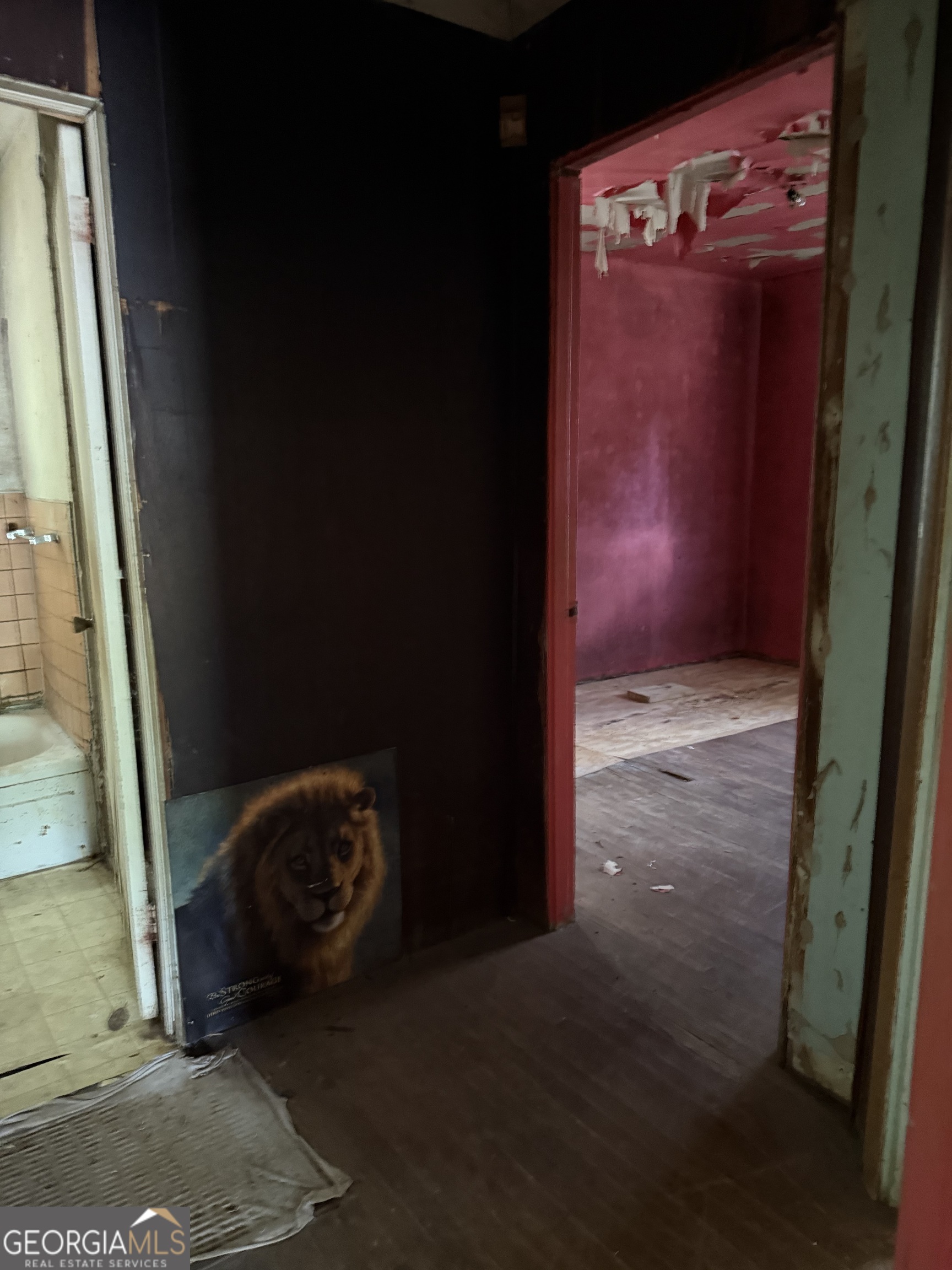 895 Ell CT