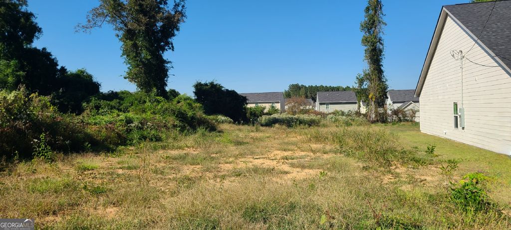 Photo of 113 Ware Street, Hogansville, GA 30230 (MLS # 10618156)