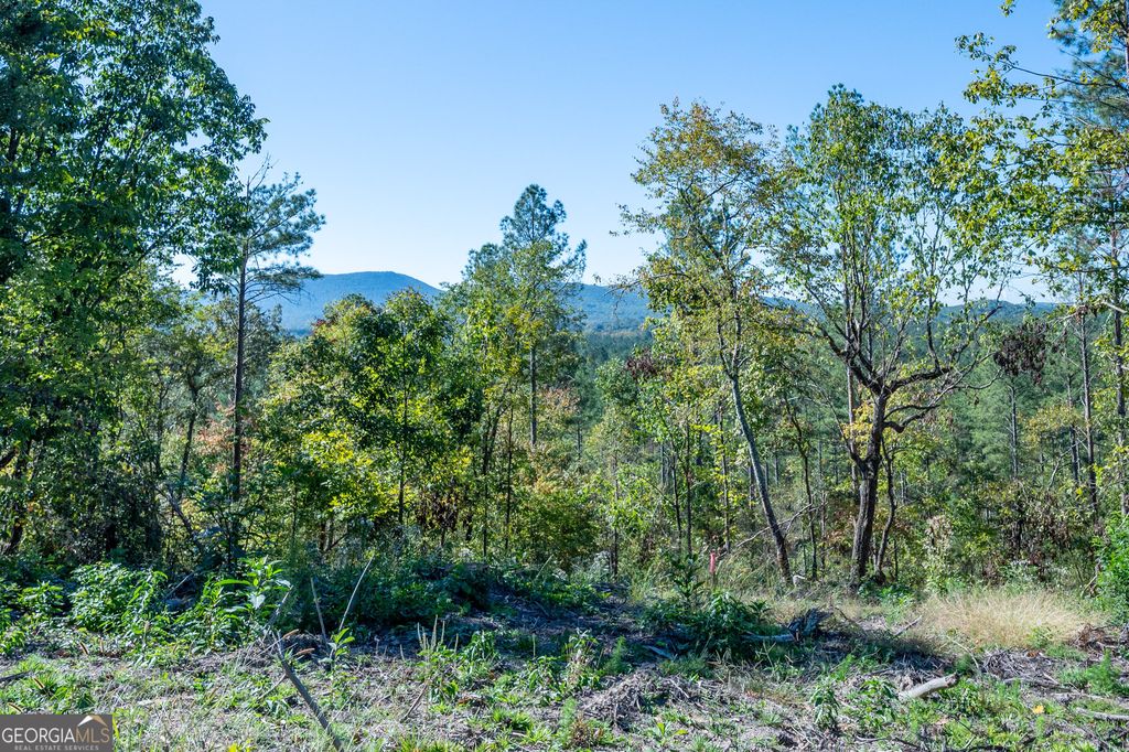 Photo of 3875 HWY 140 NE, Rydal, GA 30171 (MLS # 10632117)
