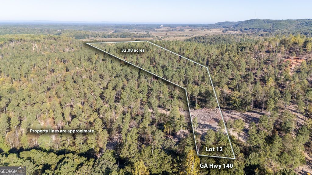Photo of 3875 HWY 140 NE, Rydal, GA 30171 (MLS # 10632117)
