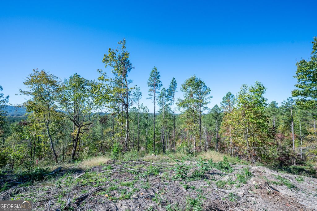 Photo of 3875 HWY 140 NE, Rydal, GA 30171 (MLS # 10632117)