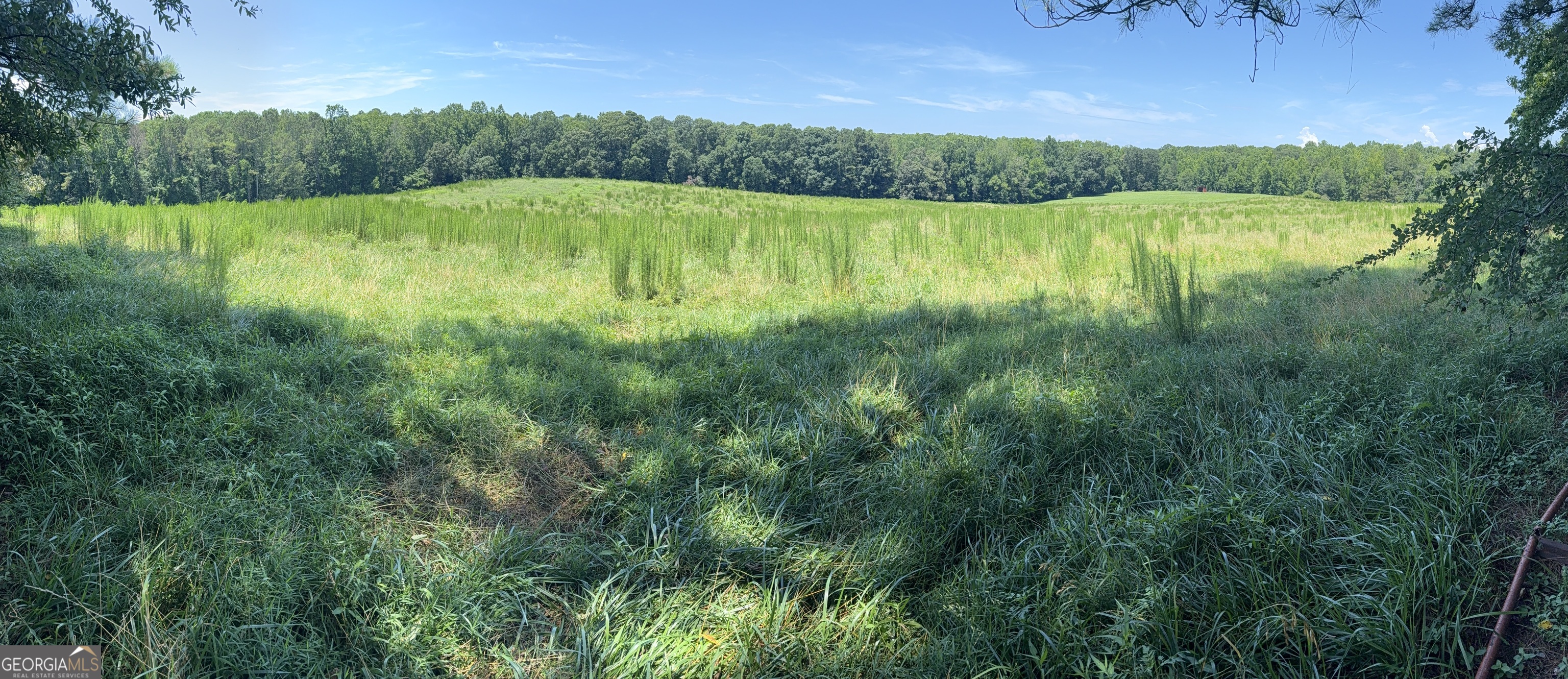 Spanning 23 acres of pristine pasture land, the ability to subdivide into 8 acre lots creates endless opportunities. Located in a serene and quiet setting within West Forsyth, this expansive 23 acre property offers a rare chance to create your dream lifestyle, storybook equestrian property, or capitalize on a unique investment opportunity. Purchase the property entirely or subdivide into approx. 8 acre lots. This exceptional property boasts gentle, welcoming topography. The northern boundary line is a picturesque creek bordered by fertile and shaded bottomland. $85,000/Acre Craig Floyd 770-380-6688