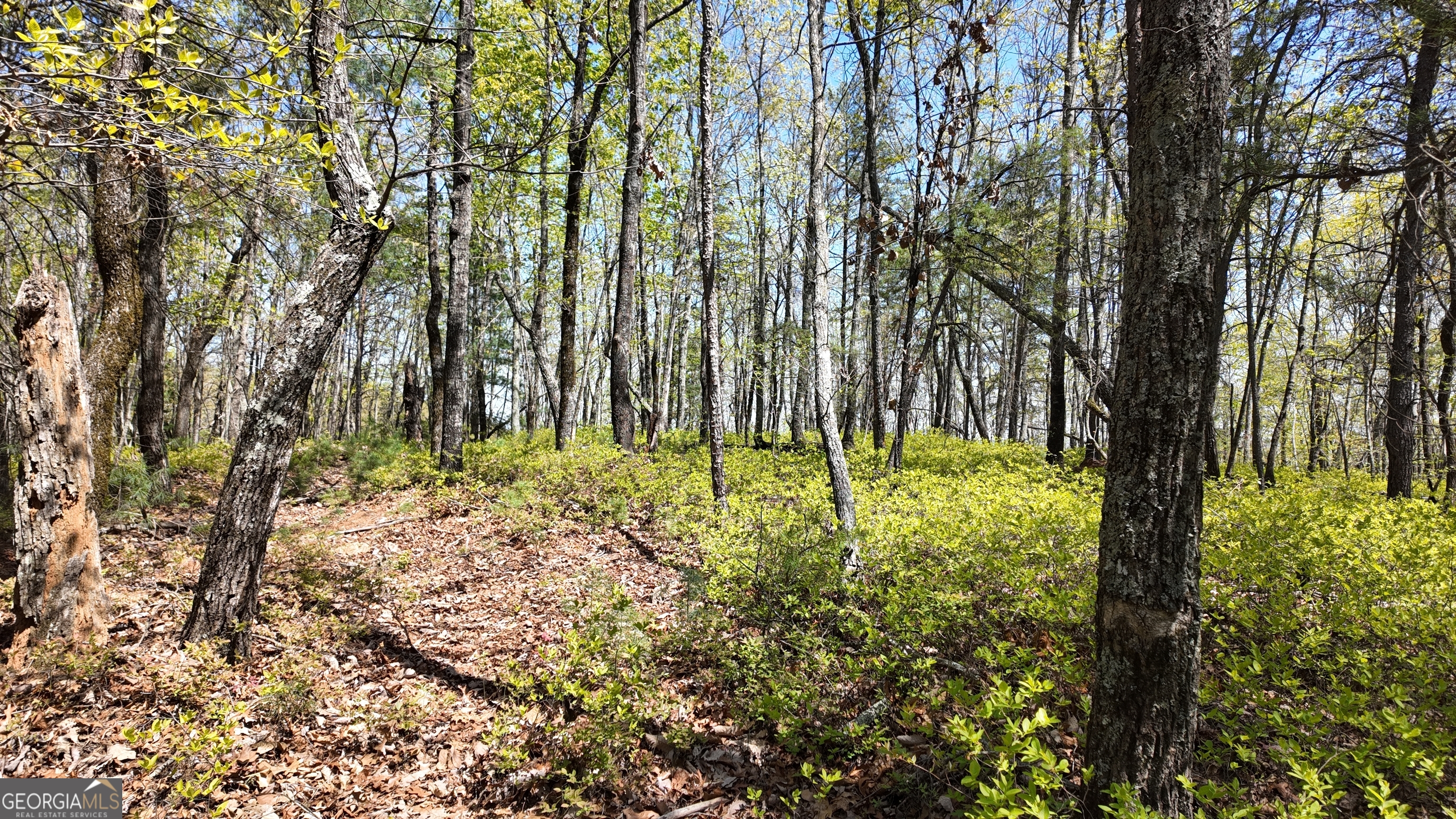 LOT 19 Heyden Ridge DR