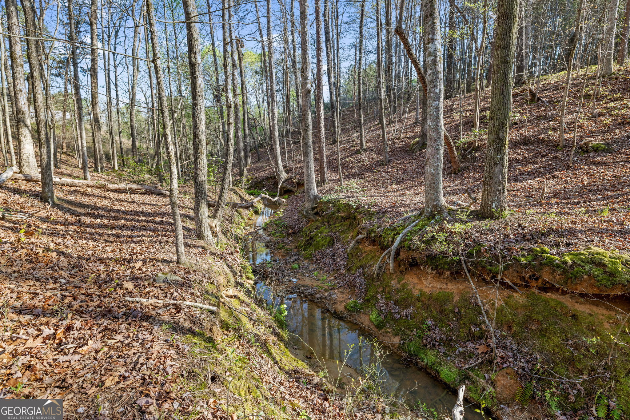 Lula, Georgia 30554, United States, 4 Bedrooms Bedrooms, ,3 BathroomsBathrooms,Residential,Pending,106794