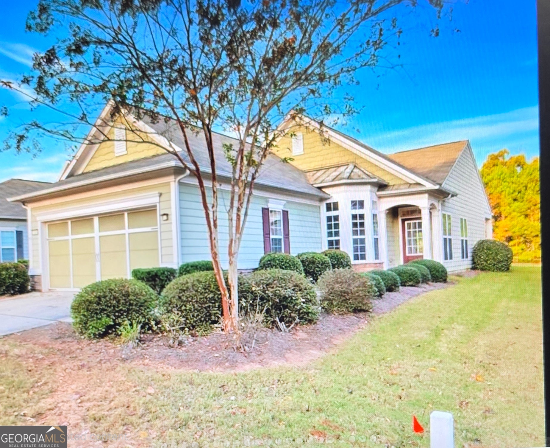 151 Begonia CT