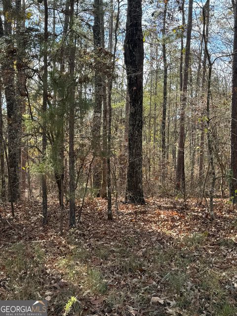 0 Gobbler Creek RD Delta AL 36258
