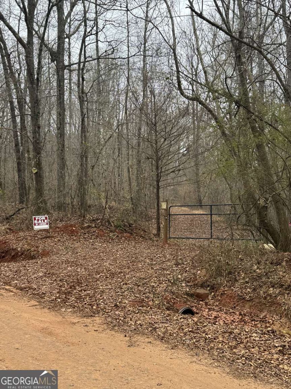 Photo of 1931 Bethel Church Road, Luthersville, GA 30251 (MLS # 10672656)