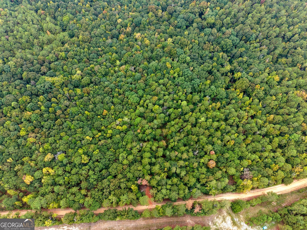 Photo of 1 South Indian Trail Road, Sandersville, GA 31082 (MLS # 10872188)