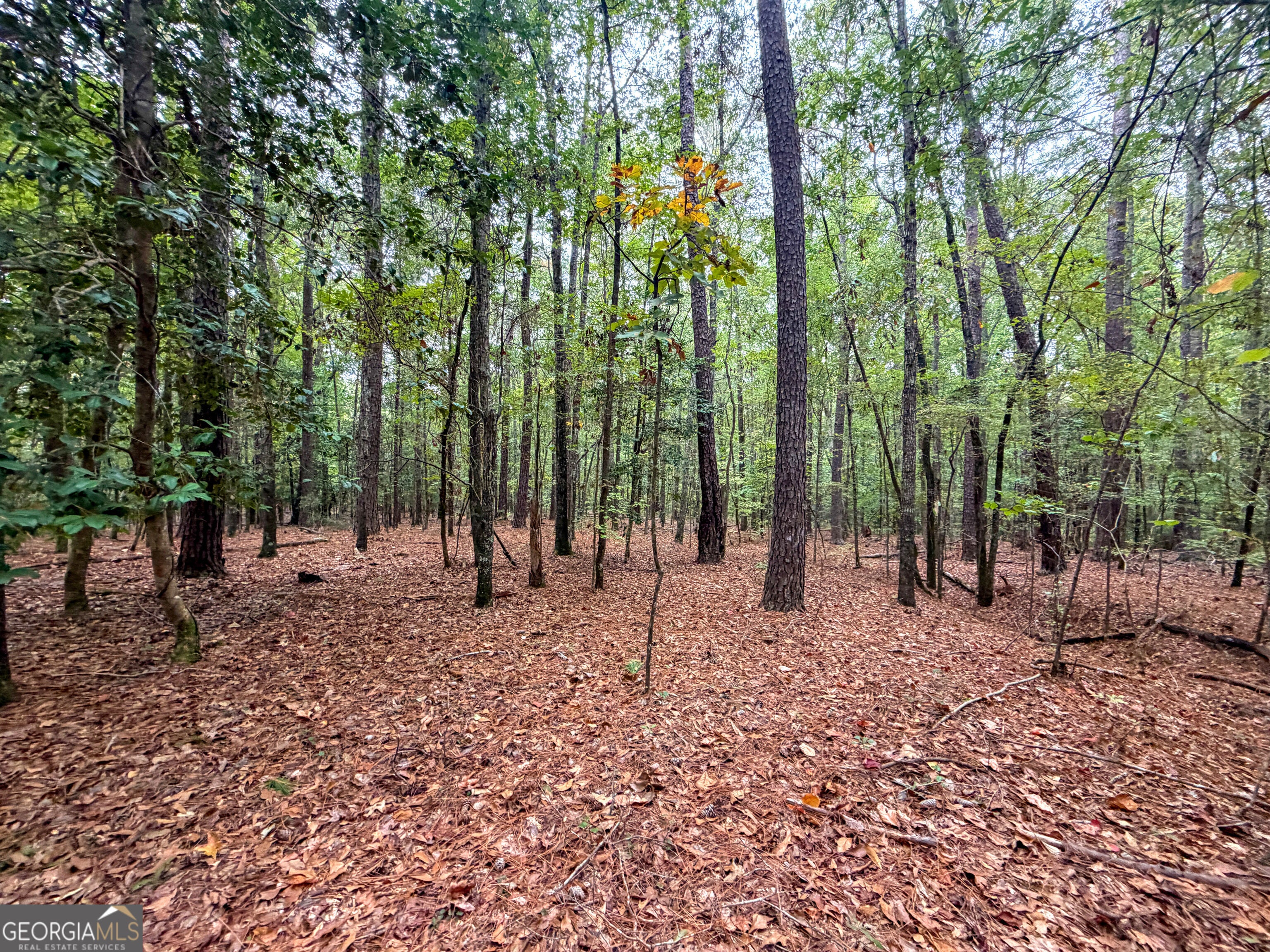 1 South Indian Trail RD