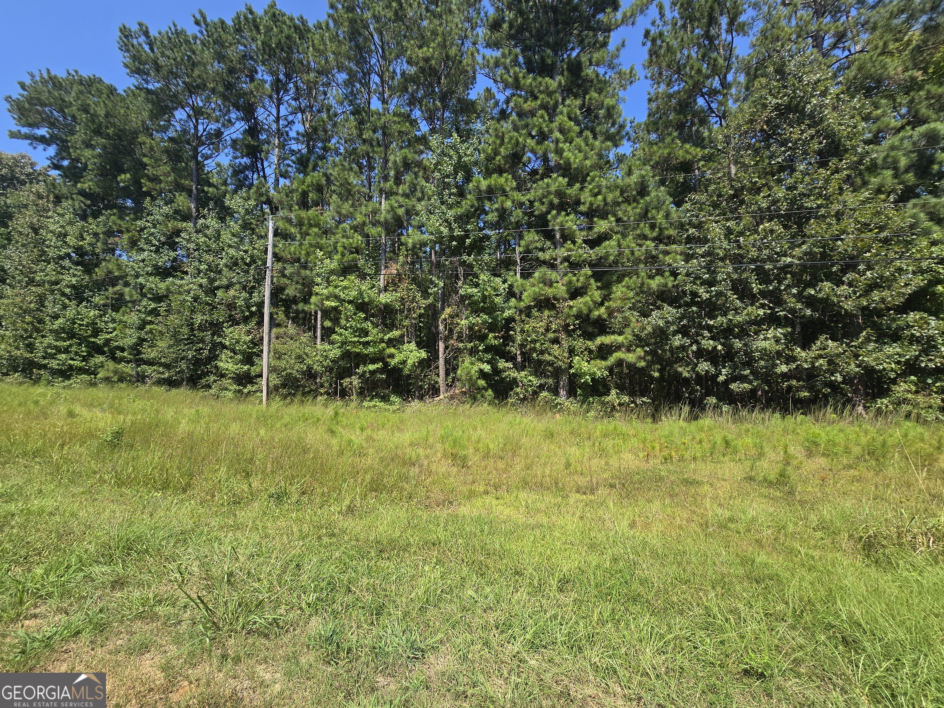 Build Your Dream Home on Nearly 4 Acres! Don't miss this rare opportunity to build your dream home on nearly 4 private wooded acres just minutes from town! Enjoy peaceful, rural living while staying less than 15 minutes from Downtown Griffin. This beautiful lot offers the ideal balance of privacy and convenience, with parks, grocery stores, and shopping all nearby. Water and electricity are available at the road. A percolation test will be required for septic. The neighborhood requires a minimum of 1,500 heated sq ft for new home construction. Whether you're ready to build now or invest for later, this property offers great potential in a desirable location. Nearby Amenities: -Wyomia Tyus Olympic Park -Kroger, Aldi, and local markets -Restaurants and shopping centers -Easy access to GA-16 & I-75