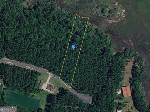 Photo of 1151 Fiddlers Cove, Shellman Bluff, GA 31331 (MLS # 10707846)