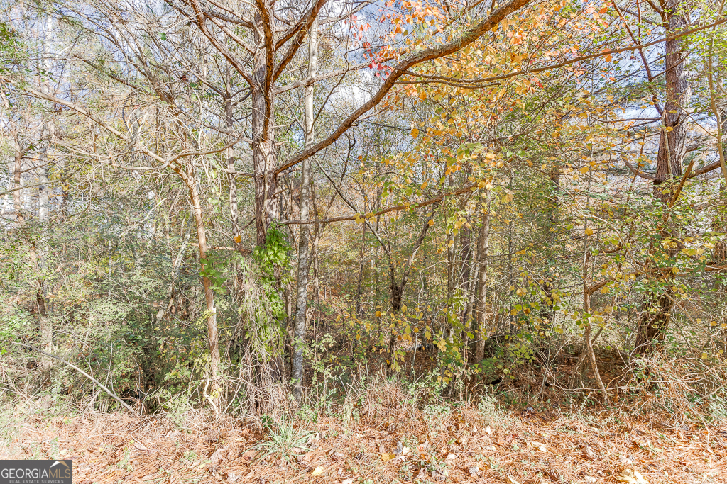 5137 Yellow Stone DR