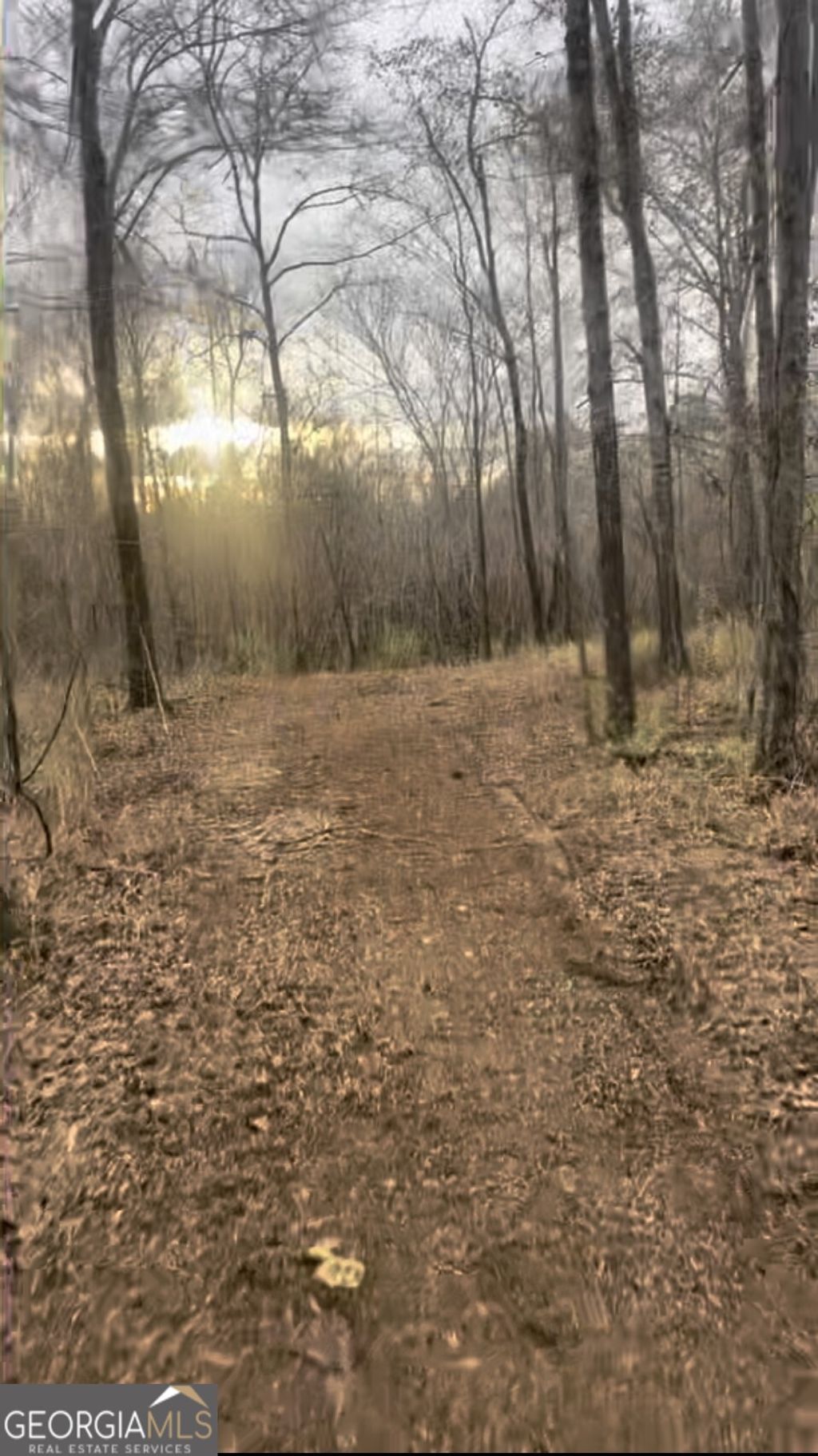 Photo of 166 Lake Crest Drive, Sparta, GA 31087 (MLS # 10705919)