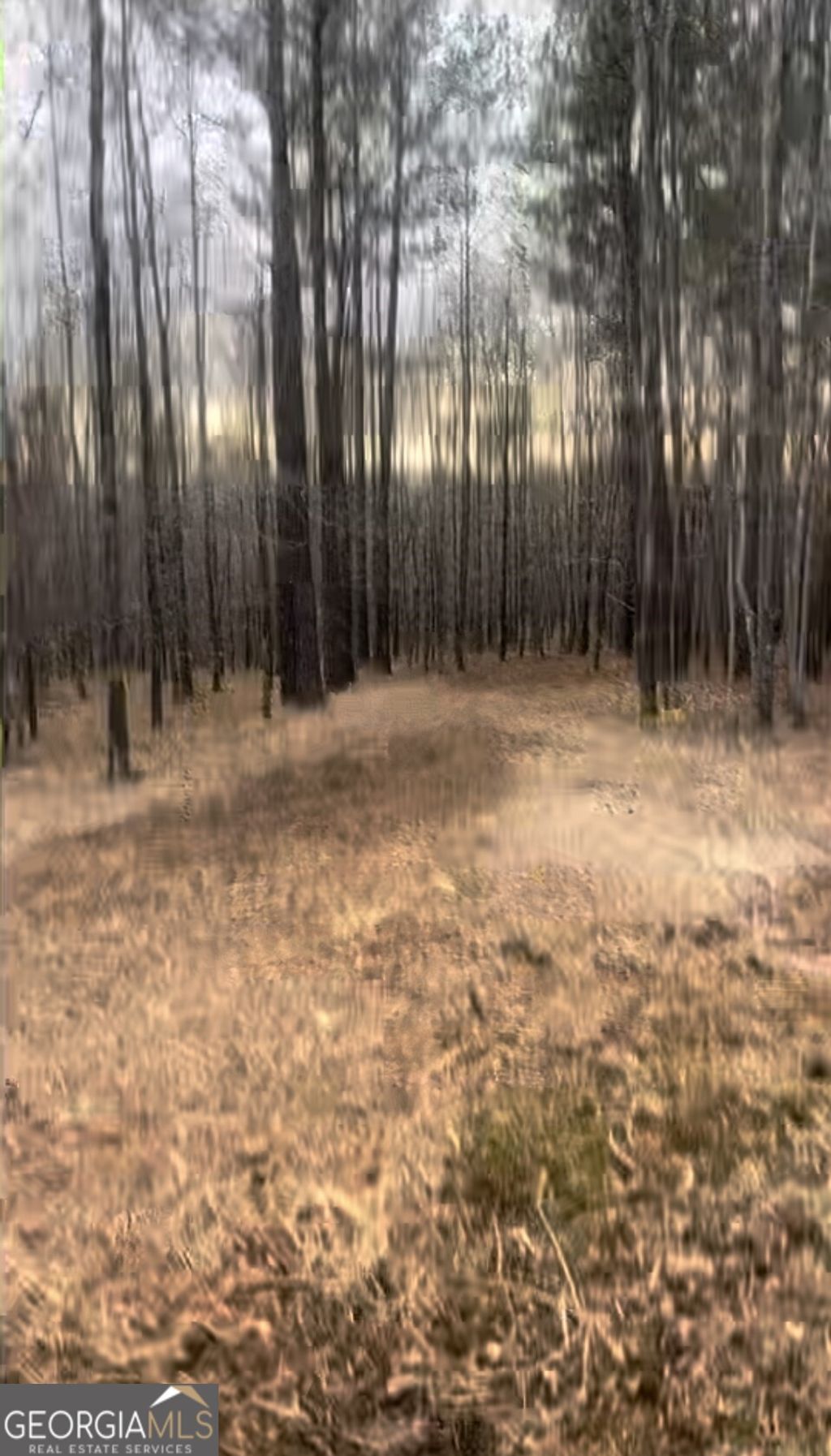 Photo of 166 Lake Crest Drive, Sparta, GA 31087 (MLS # 10705919)