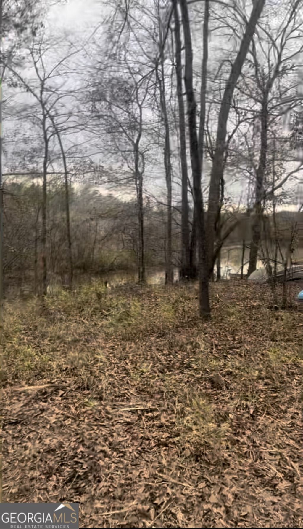 Photo of 166 Lake Crest Drive, Sparta, GA 31087 (MLS # 10705919)