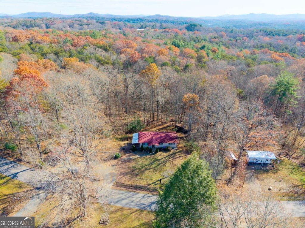 Photo of 2906 Douthit Road, Mineral Bluff, GA 30559 (MLS # 10693590)