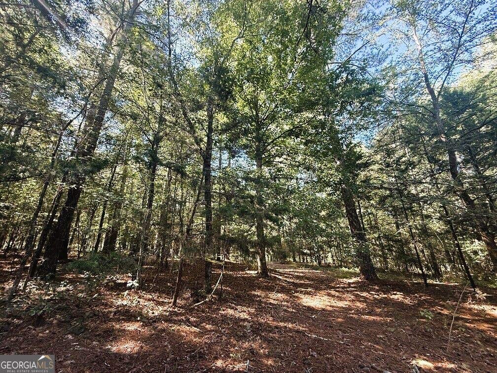 Photo of 2604 Hughes Rd, Bowman, GA 30624 (MLS # 10828364)