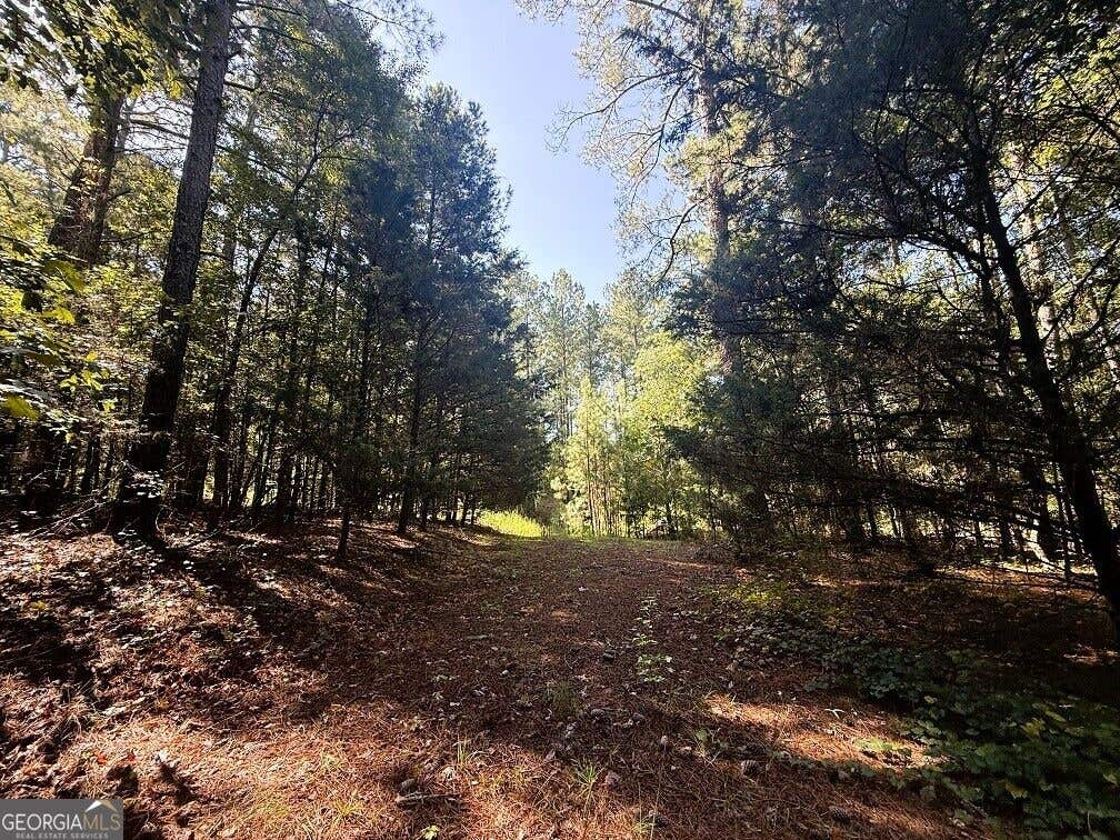 Photo of 2604 Hughes Rd, Bowman, GA 30624 (MLS # 10828364)