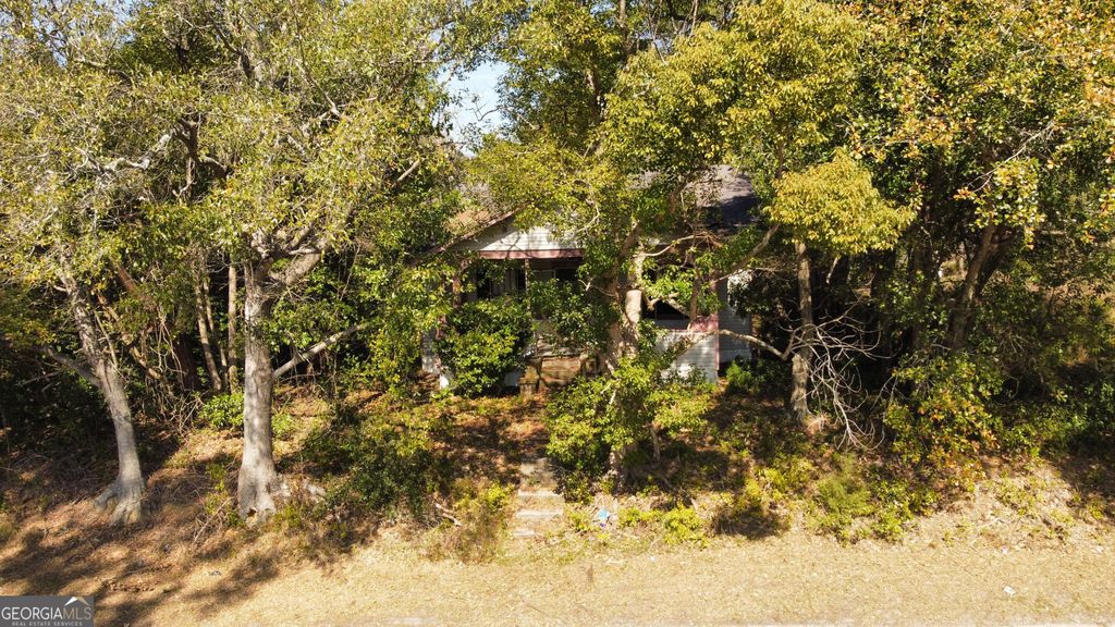 Photo of 817 Howe Street, Waycross, GA 31501 (MLS # 10692515)