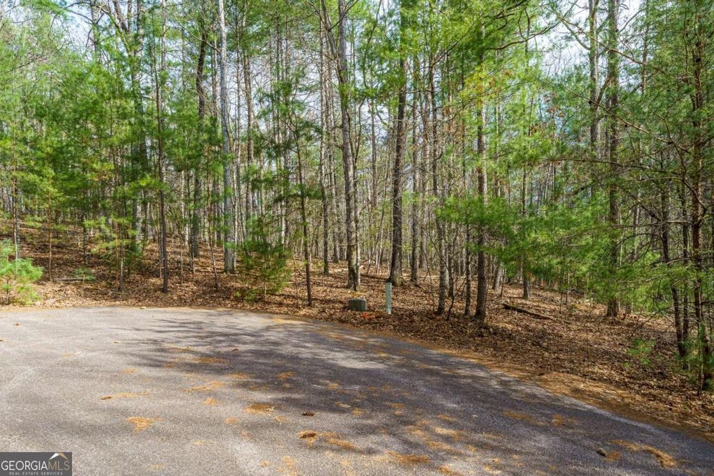 Photo of 6 Hampton Road #6, Morganton, GA 30560 (MLS # 10719392)