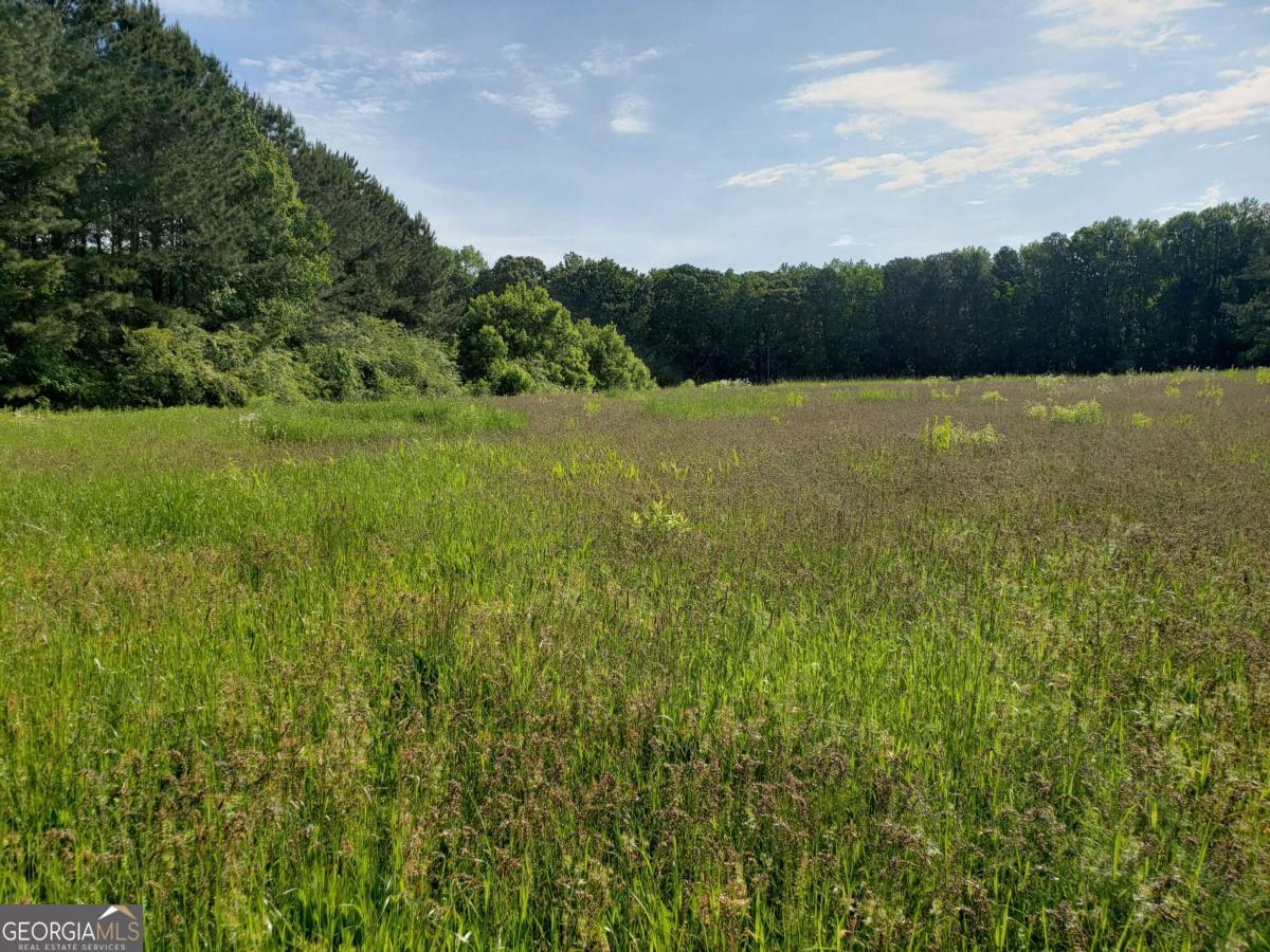 Beautiful open pastures, partially wooded, canton creek on backside, 15 home sites. LDP imminent. NO REZONING - Will not be approved per Cherokee County's Comprehensive Use Plan NO SEWER - Septic Tank
