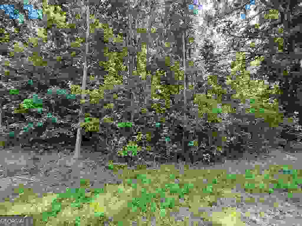Photo of 0 W Kytle Street, Cleveland, GA 30528 (MLS # 10804209)