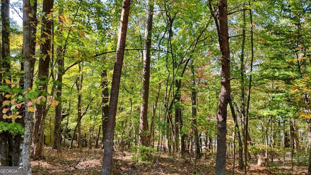 Photo of 76 Charlotte Circle, Blue Ridge, GA 30513 (MLS # 10679463)