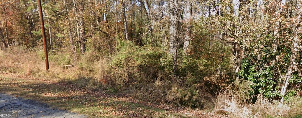 Photo of 2842 Drowning Creek Road, Dacula, GA 30019 (MLS # 10773239)