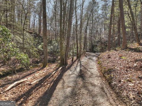 A home in Ellijay