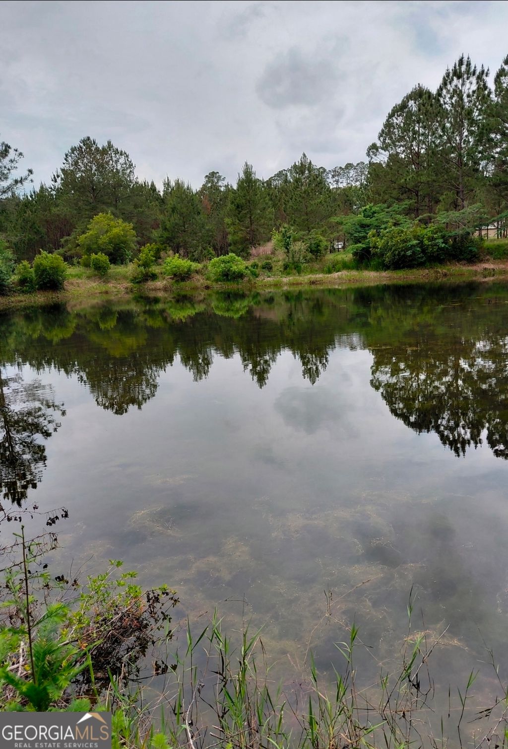 Photo of 436 Russell Boulevard #ACRES 21.45, Saint George, GA 31562 (MLS # 10771297)